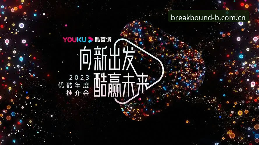 B体育平台2024体验报告：从下载到VIP注册的全链路深度分析